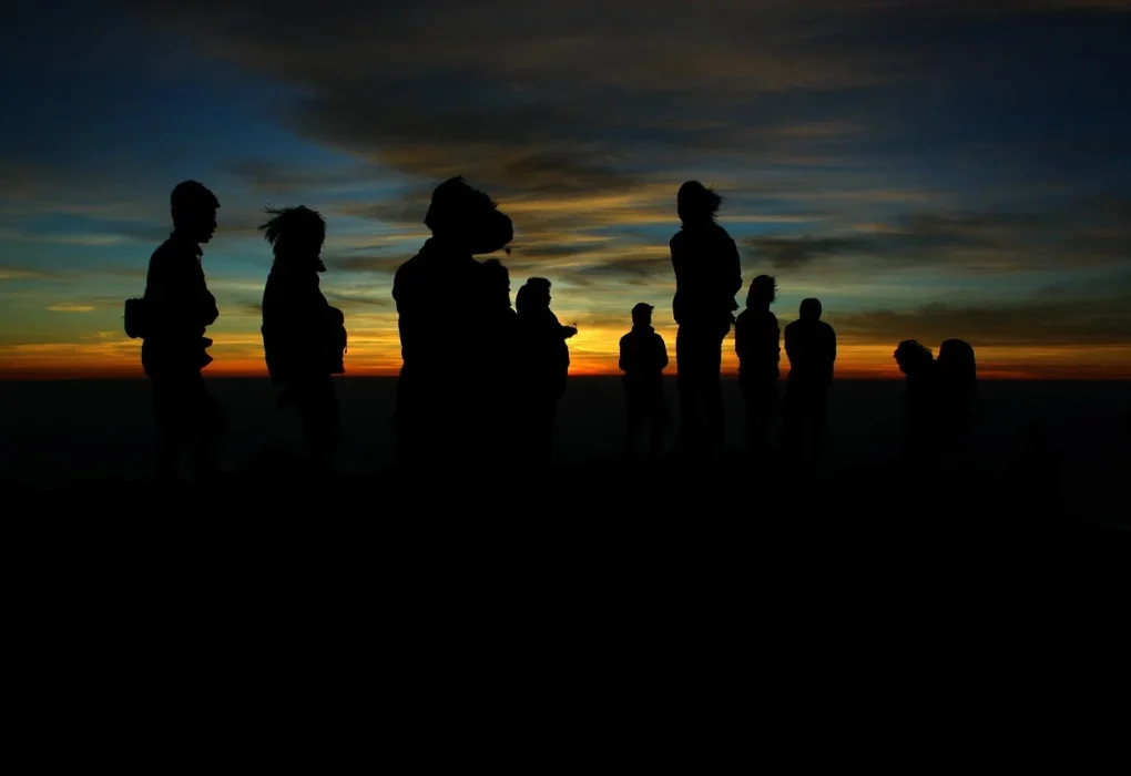 Efectul de turmă: Ce ne determină să alegem greșit sub influența grupului?